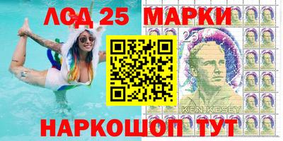 гашик Будённовск