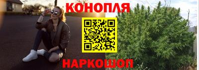гашик Будённовск