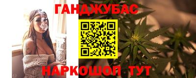 гашик Будённовск