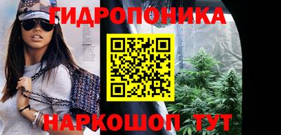 гашик Будённовск